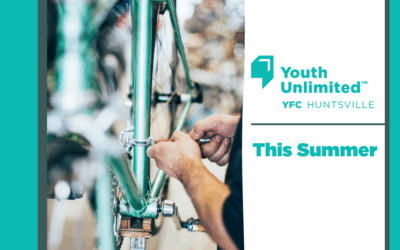 Born Again Bikes Featured Image