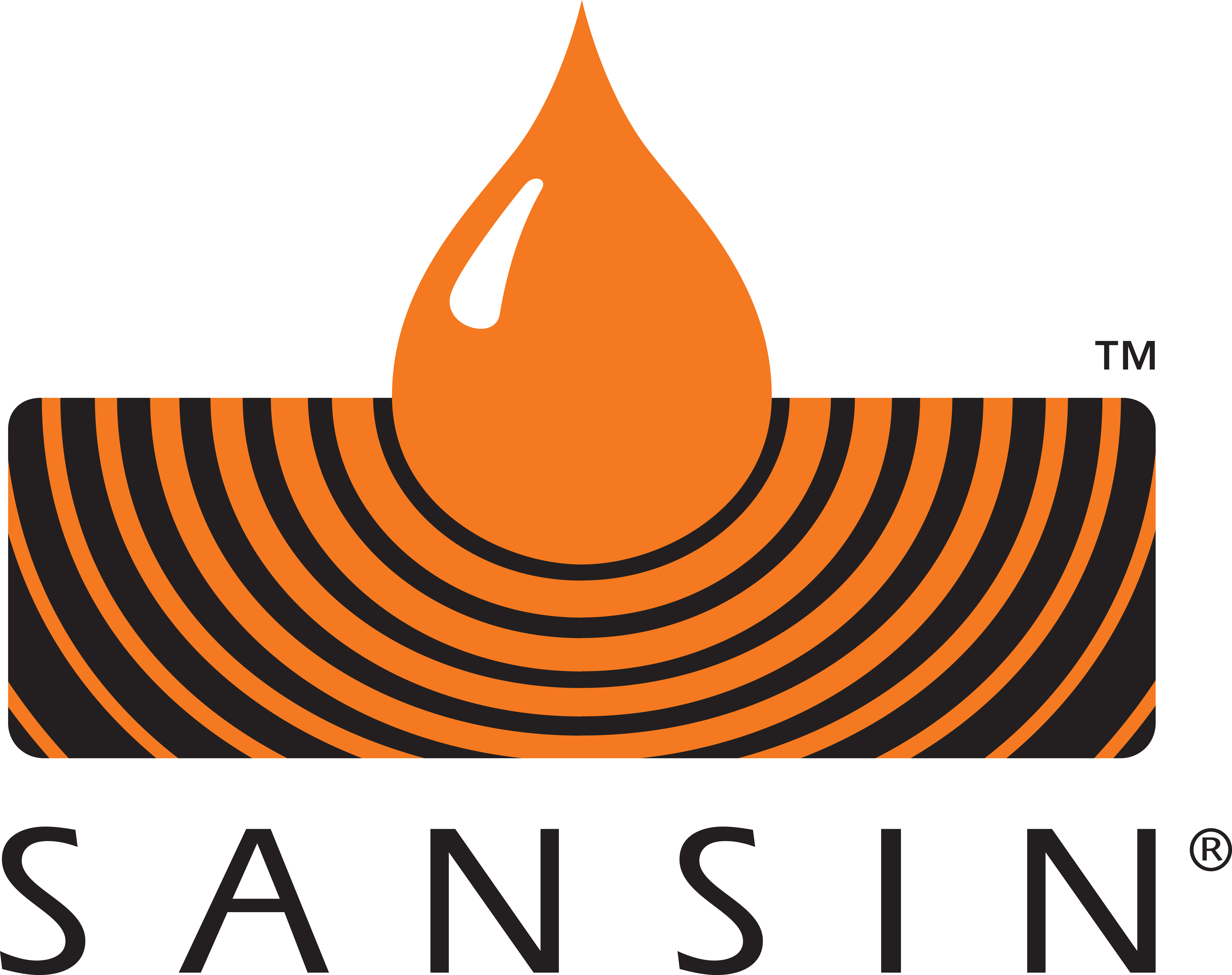 Sansin Logo