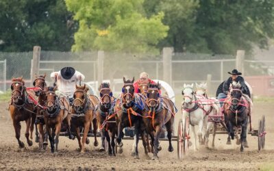 Manitoba Stampede Featured Image