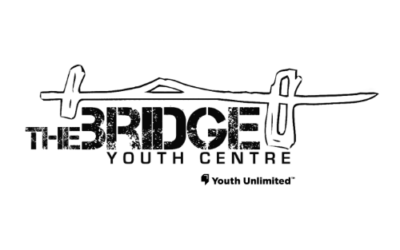 The Bridge Drop-In Featured Image