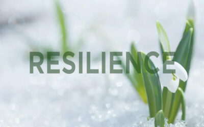 ePray | Ep. 40 Lectio Divina: Resilience Featured Image