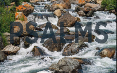 ePray | Ep. 44 Lectio Divina: Psalms Featured Image