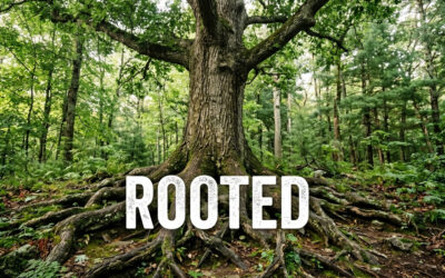 ePray | Ep. 49 Lectio Divina: Rooted Featured Image
