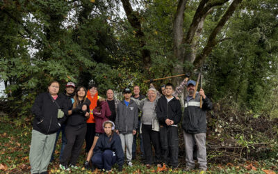 December Newsletter Featured Image