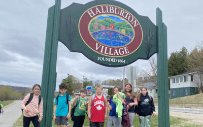 Haliburton Featured Image
